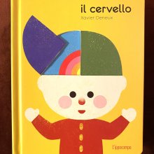 Il cervello: traduzione per bambini