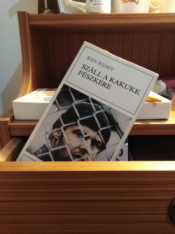 Uno che volò sul nido del cuculò