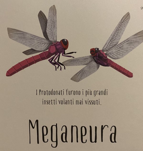 Le Meganeura