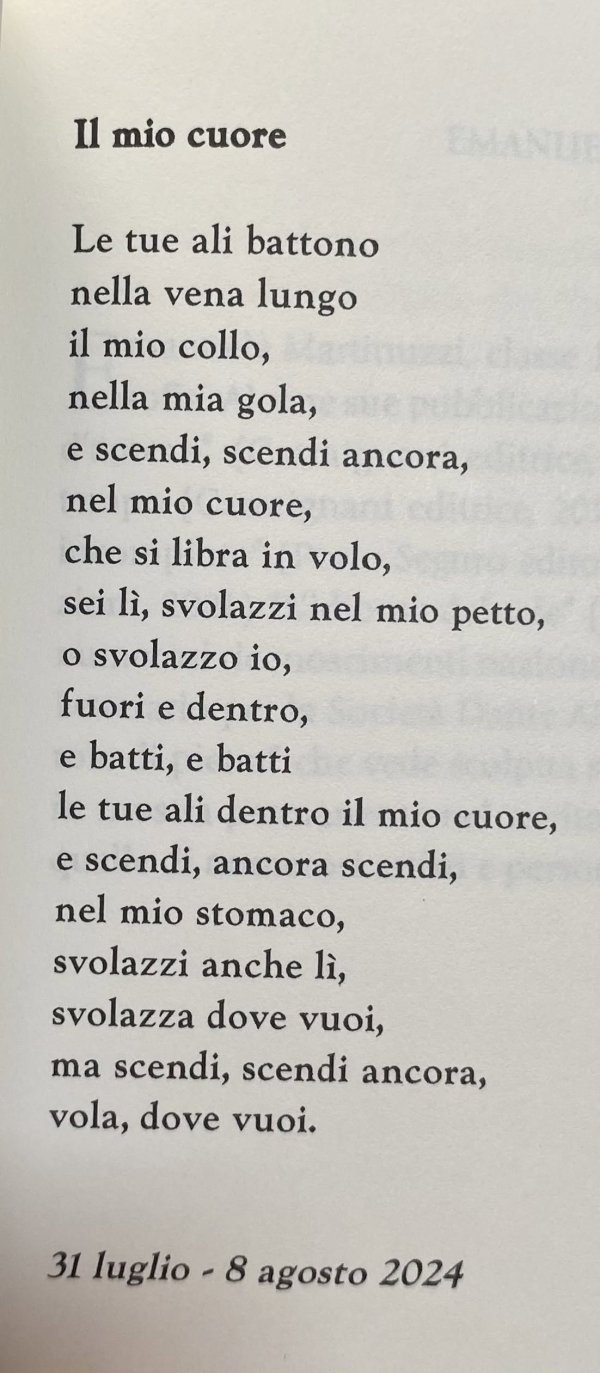 Il mio cuore